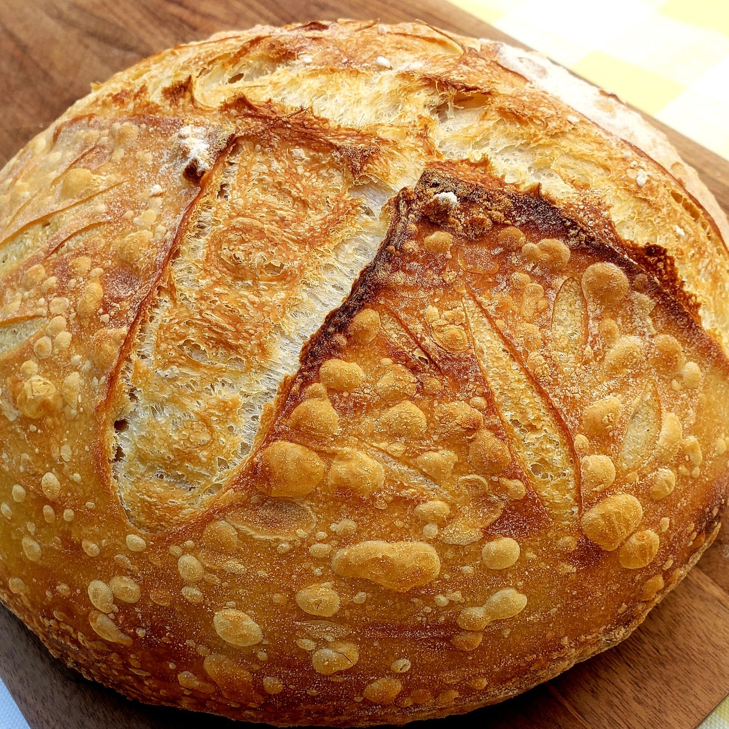 Bohn Boule