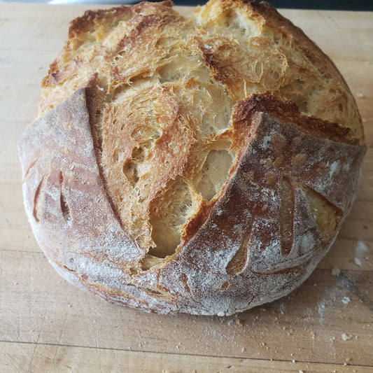 Bohn Boule