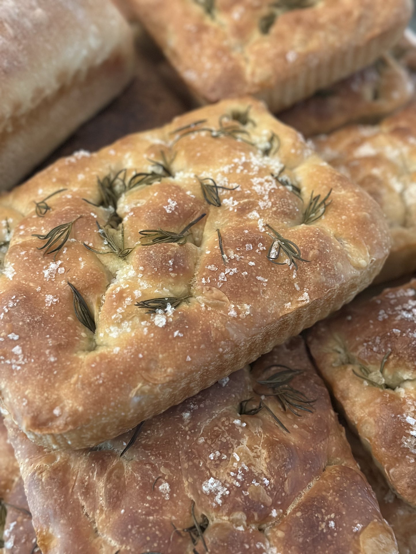 Focaccia